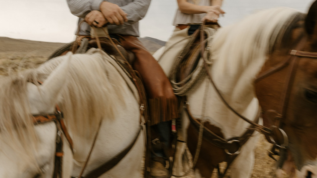 Image of the horses of Elrod ranch taken by wander love captures