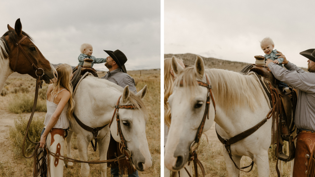 Image of the horses of Elrod ranch taken by wander love captures