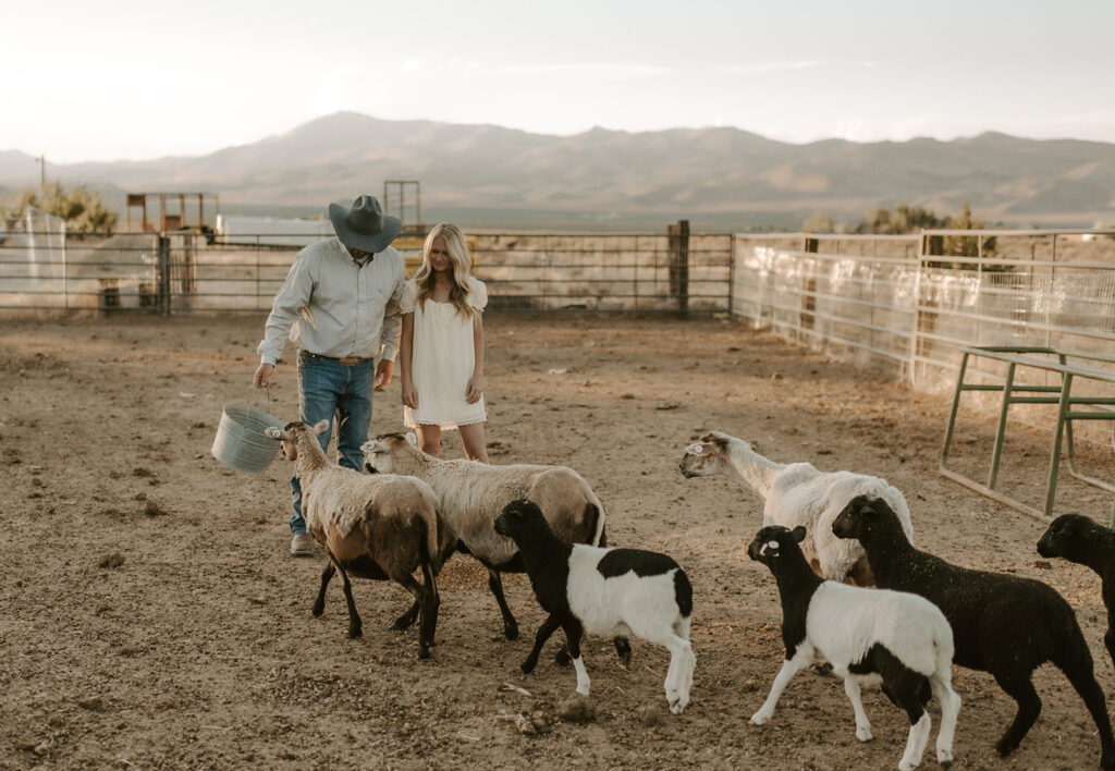 Tyler and Sarah Elrod in paddock with sheep and lambs