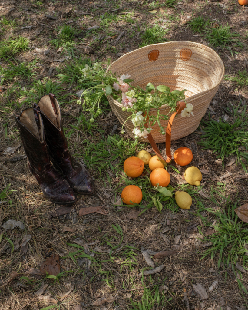 farm life in the spring