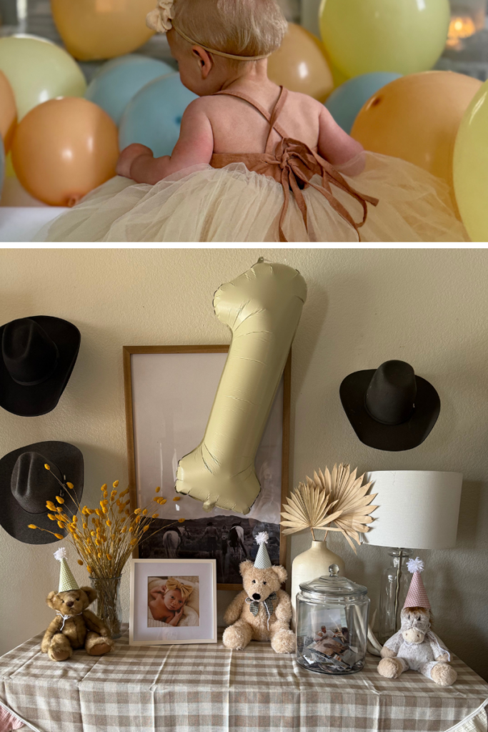 one silly goose party theme