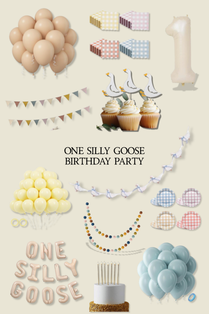 one silly goose birthday party amazon links