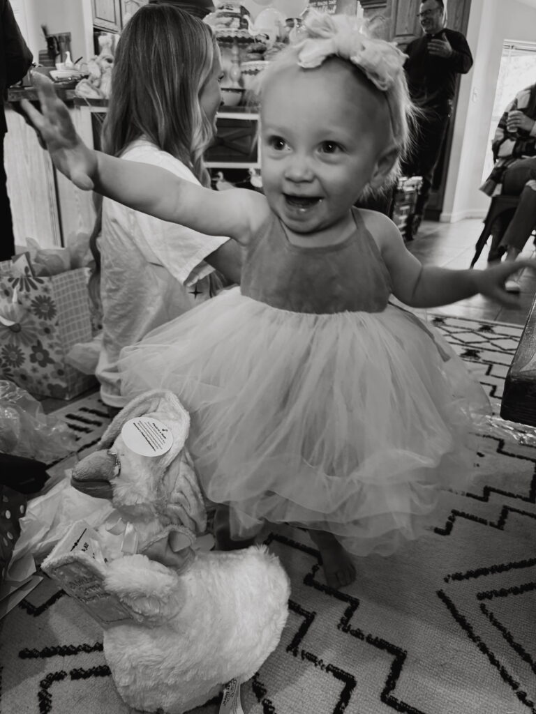 silly goose first birthday party