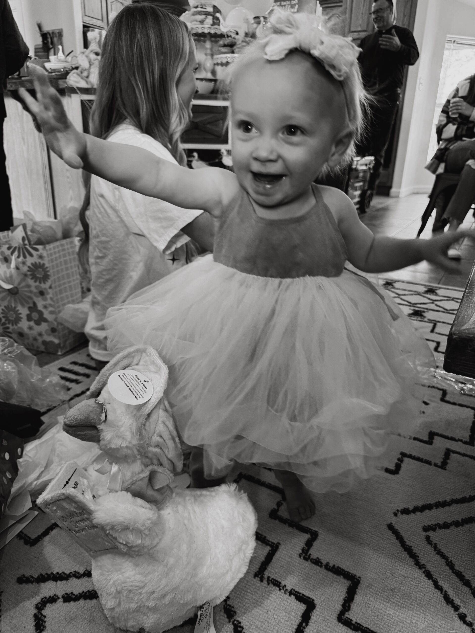 silly goose first birthday party