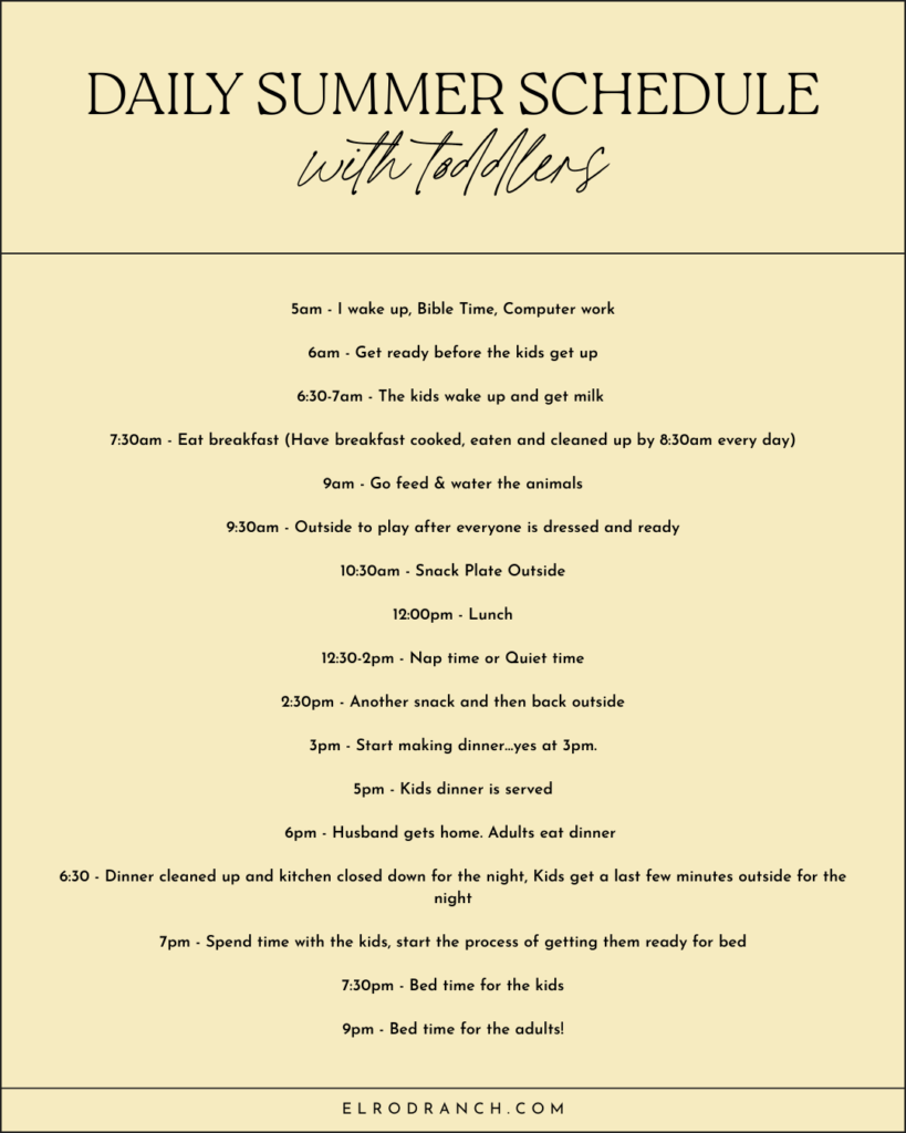 Daily summer schedule with toddlers