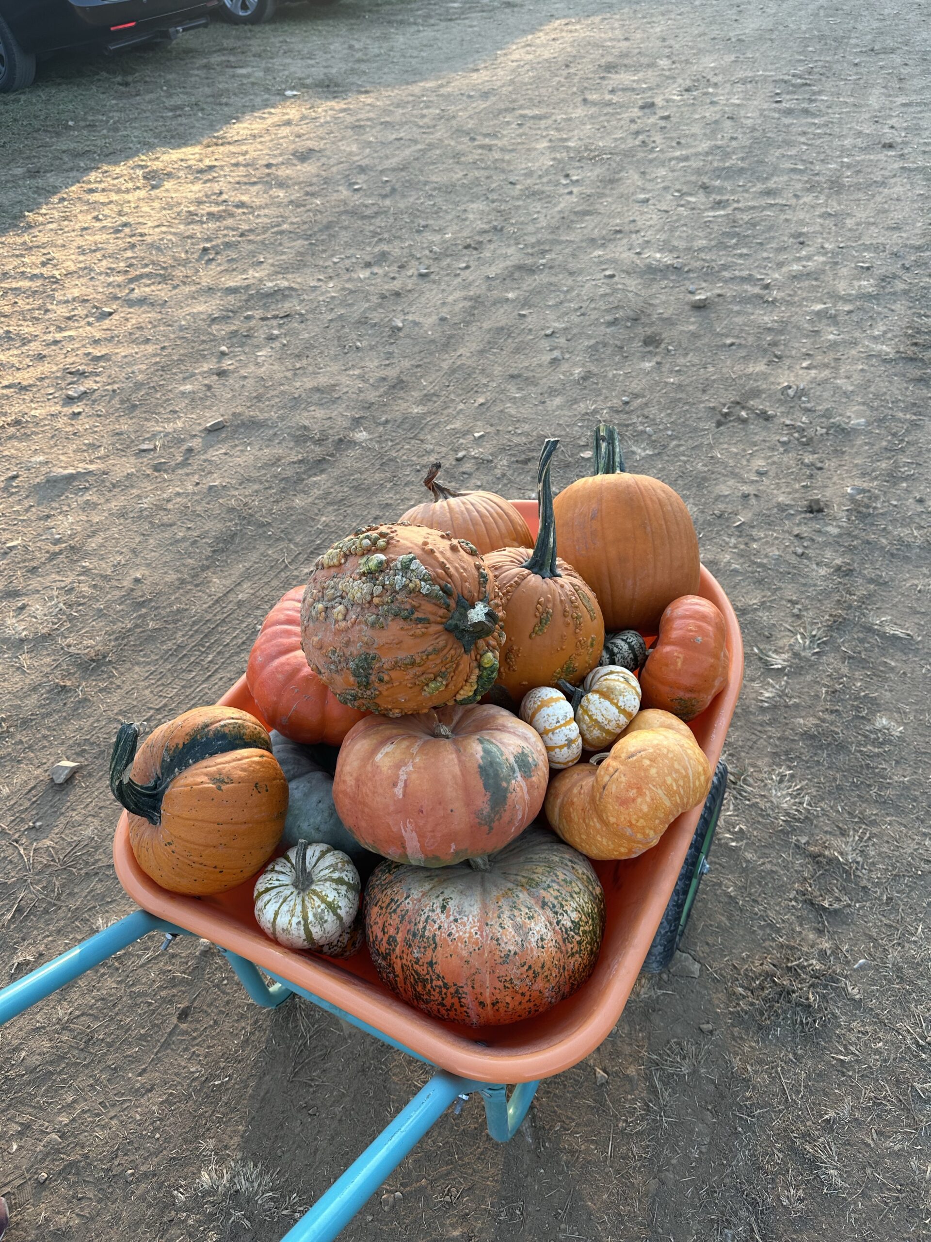 Homestead Fall Bucket List