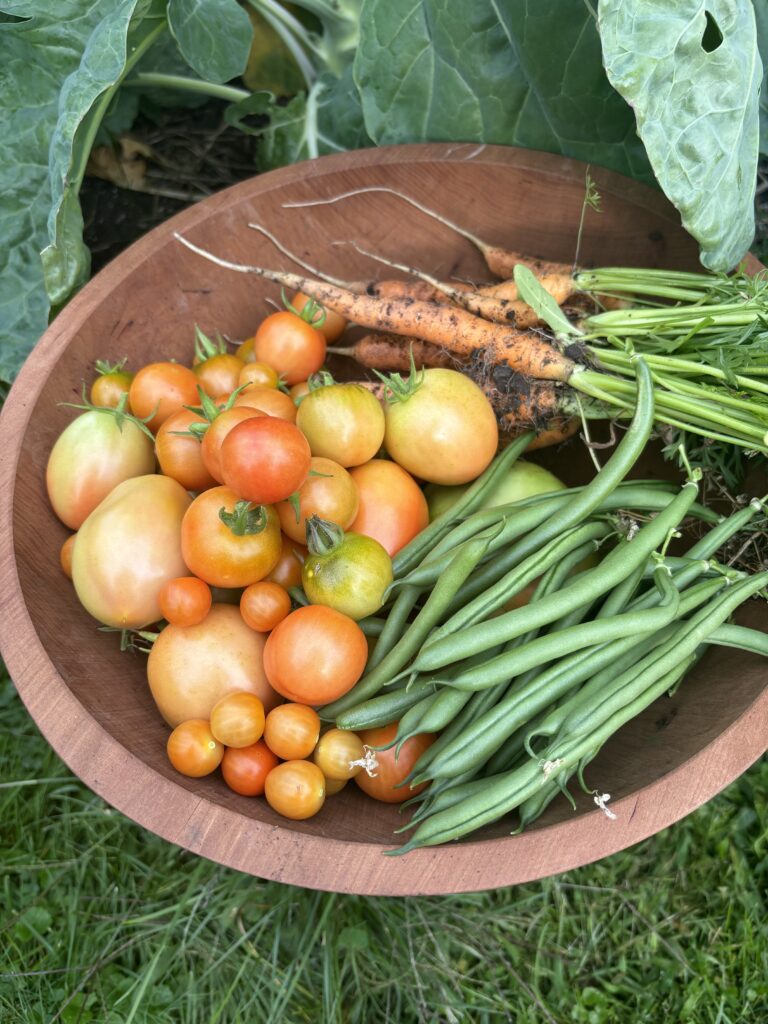 Why I Don’t Buy Organic Food 