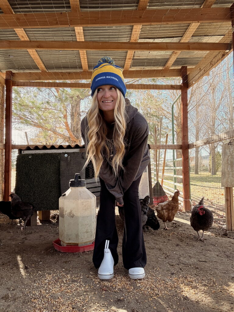 DIY chicken coop on a budget