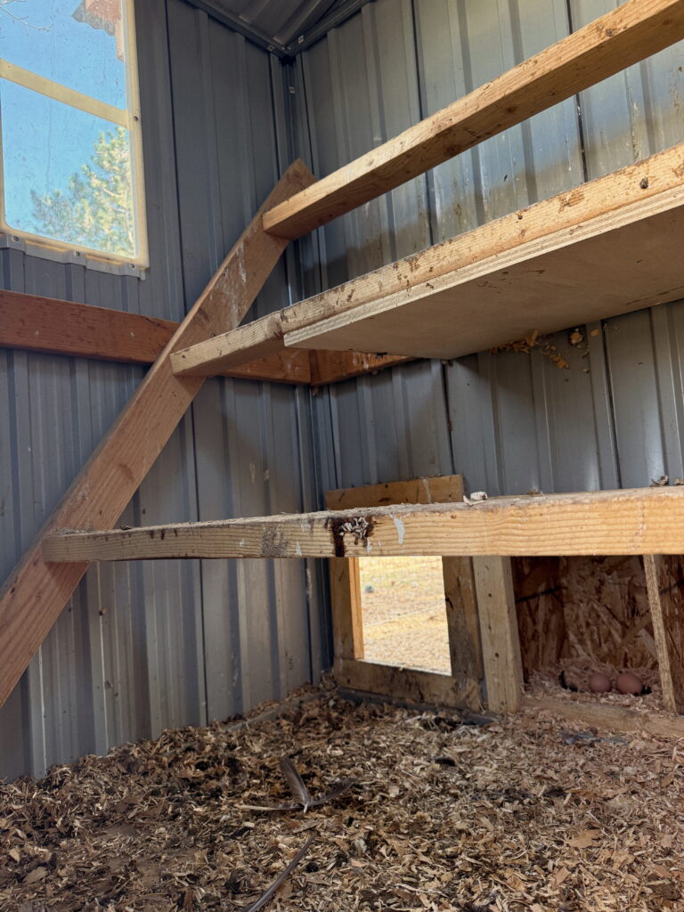 inside of chicken coop shed from amazon