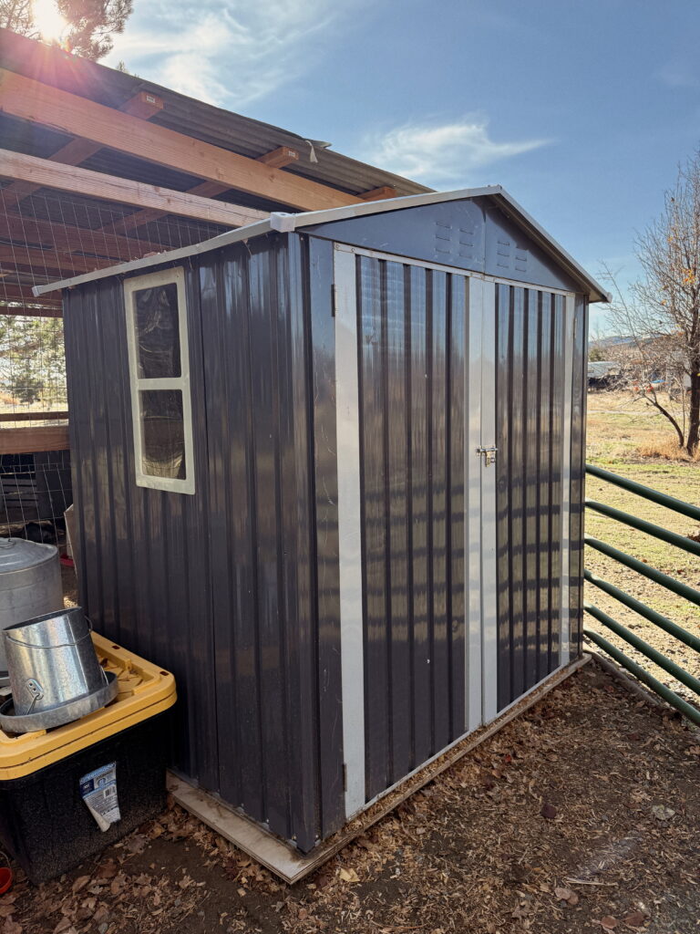 shed converted into a chicken coop