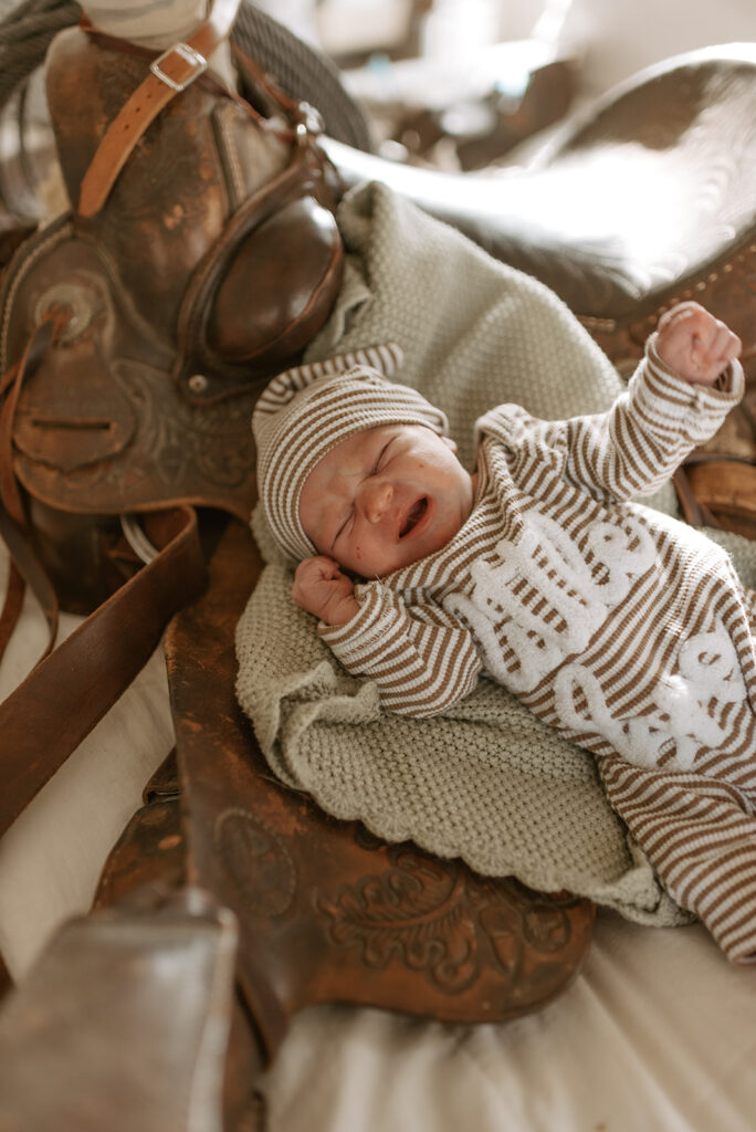 newborn photos with a saddle