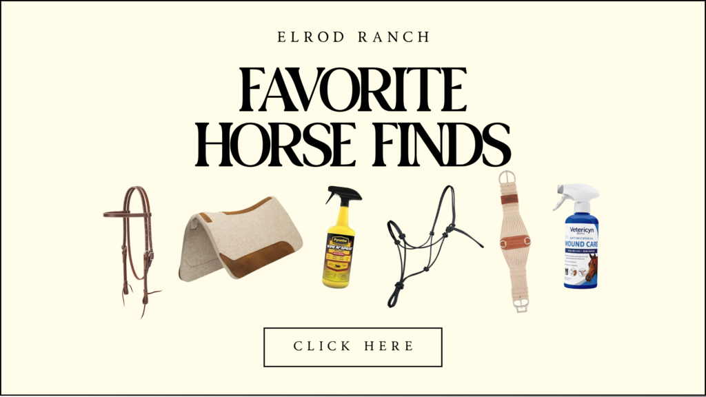 Favorite Horse Finds