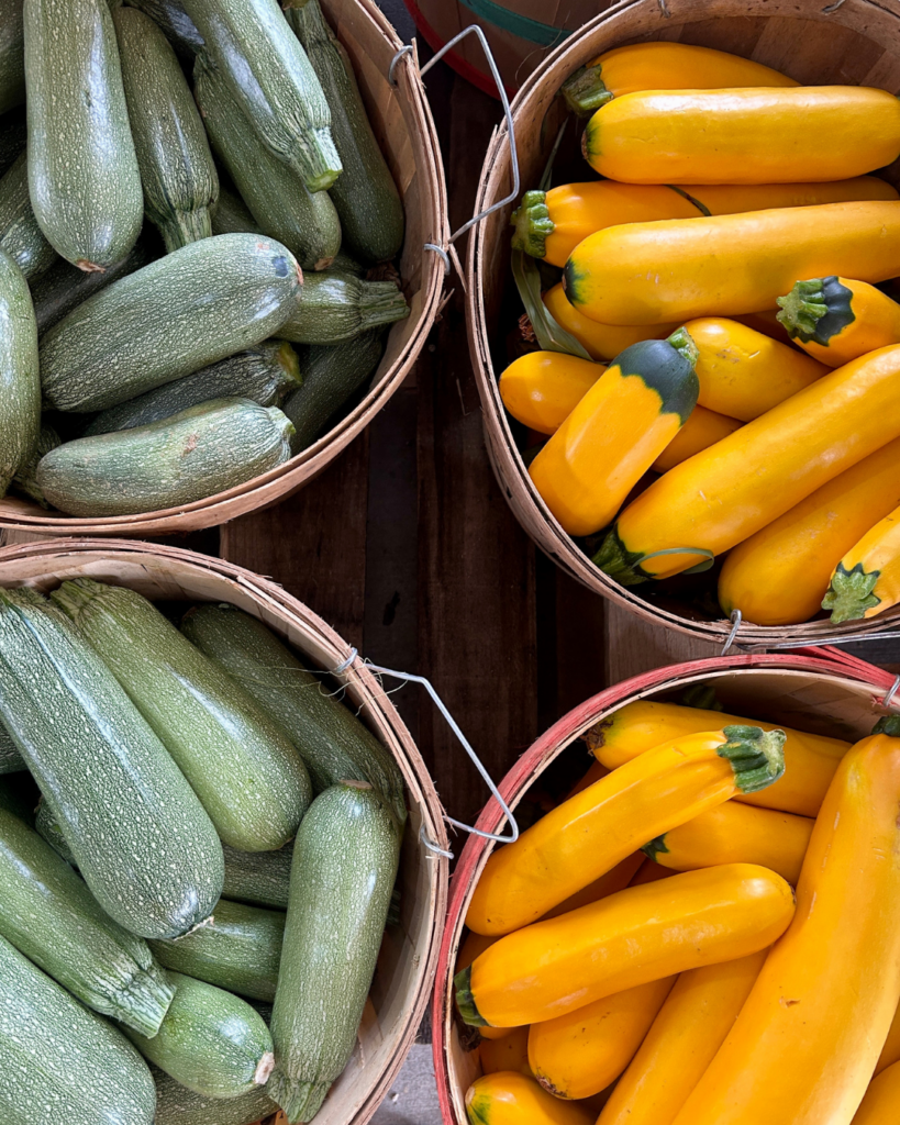 what I wish I knew before starting a homestead