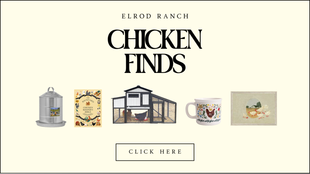 Chicken finds for your homestead
