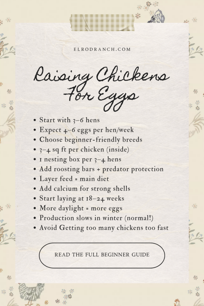 raising chickens for eggs pin