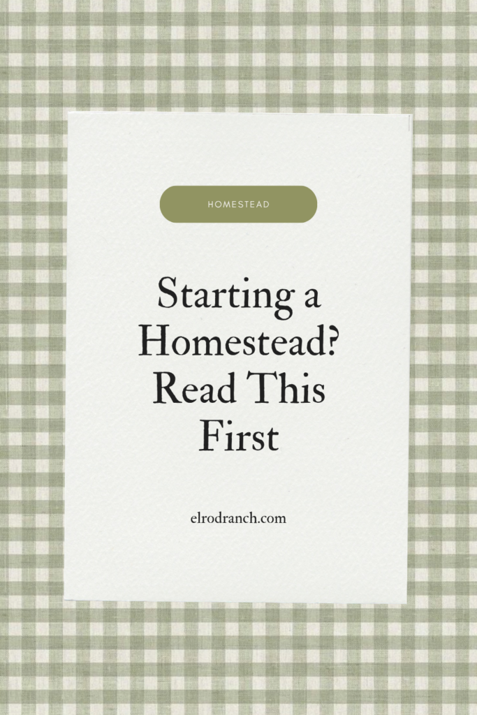 Starting a homestead from scratch