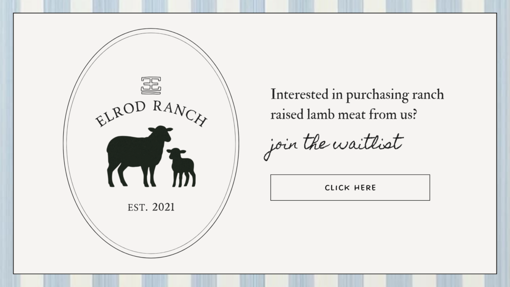 Lamb waitlist